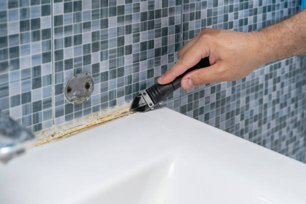 Best Toxic Mold Removal  in Apalachin, NY