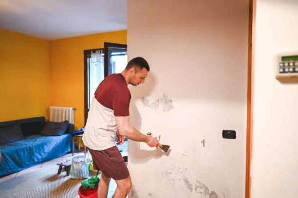Best Best Mold Removal Companies  in Apalachin, NY